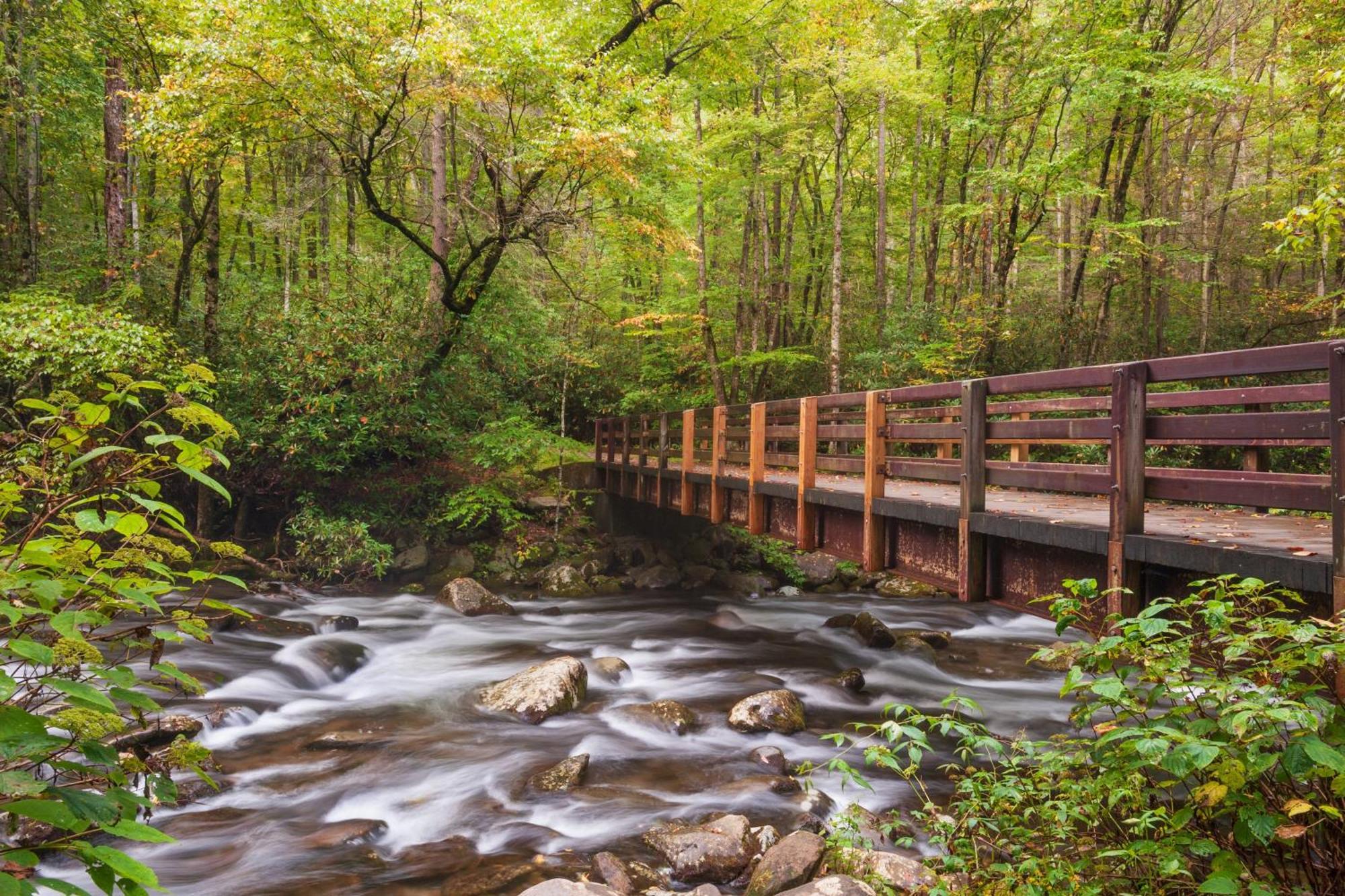 Mountain Eden, Hot Tub, Resort Pool, Wifi, 1089 Free Tickets Each Paid Day, Dollywood And More Gatlinburg Kültér fotó